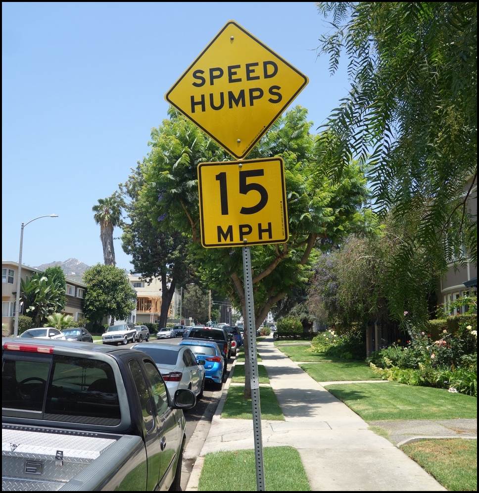Hamtramck is known as a “walkable” community. But reckless and speeding drivers are making our streets unsafe. Should we lower the speed limits?